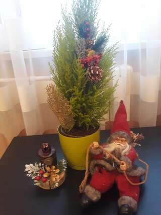 Апартаменты Apartment in Grodno near TRINITI Гродно Апартаменты с 1 спальней-18